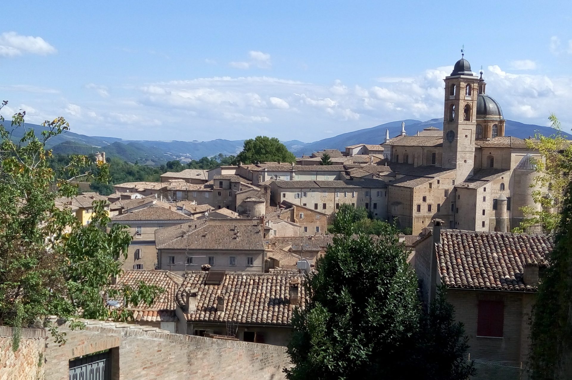 Urbino.-Scorcio-sui-tetti